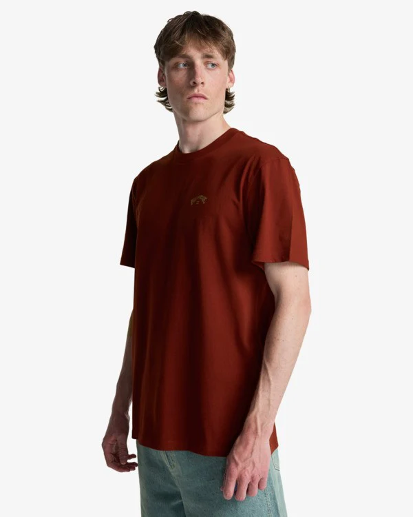 Billabong Men's Arch Wave T-Shirt Fired Red C1SS65BIP2-RZA0 - Image 5